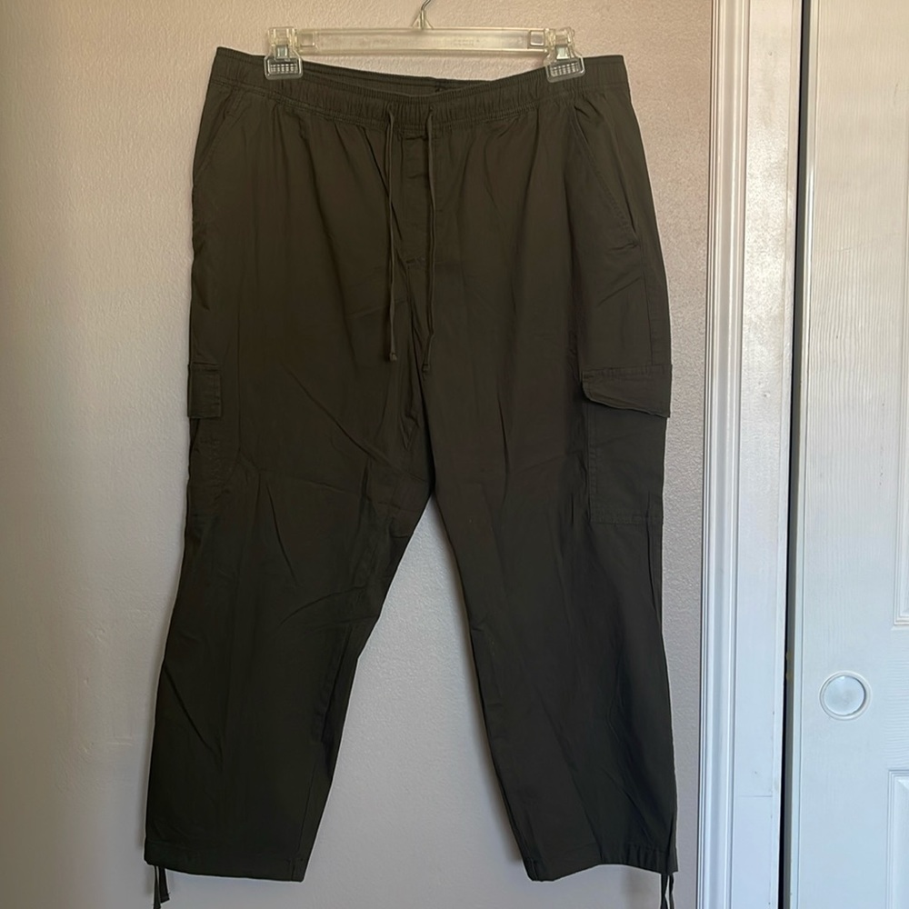 Sanctuary size 1x. Womens cropped pants. Dark green.